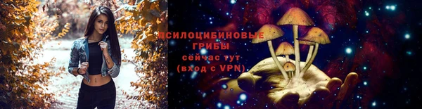 2c-b Алексеевка