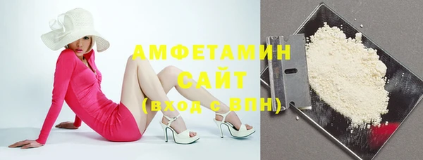 соль ск Алексин