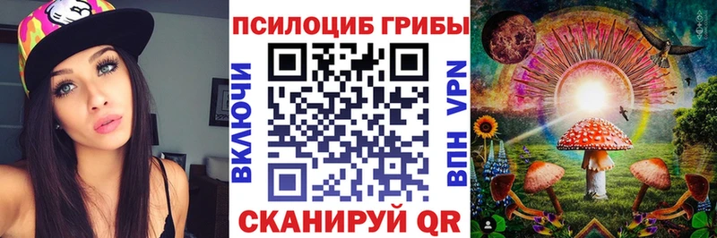 Псилоцибиновые грибы мицелий  Ижевск 